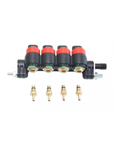 Emer type 35 injectorrail CNG 4 cilinder met temp sensor