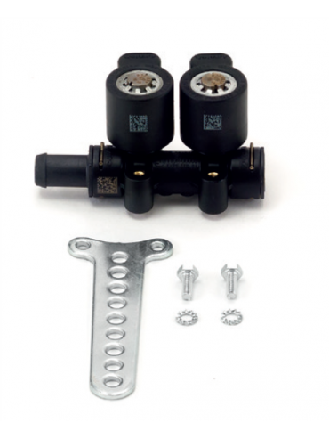 Easy Fast 2 cilinder DP injector rail