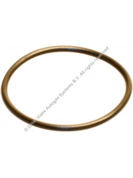 Vialle o-ring 27.1x1.6mm (for grommet 250296.1)