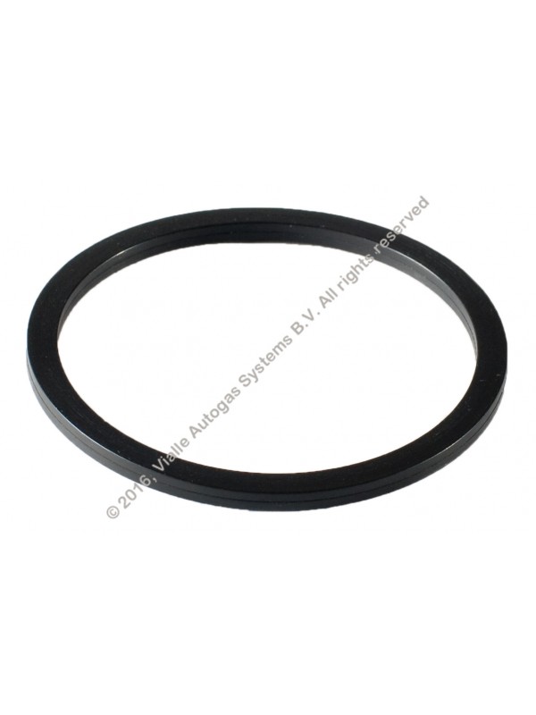 Vialle gasket multivalve PTS-48 50x2.6