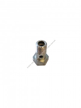 Vialle banjo bolt M10x25 LPdi with filter